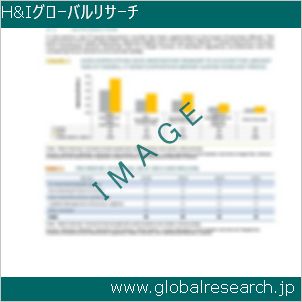 グローバルリサーチ調査レポートのイメージ